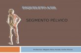8.) Huesos de la Pelvis, Articulaciones de la Pelvis - Prof. Magalis Pérez