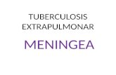 Tuberculosis Extrapulmonar Meningea