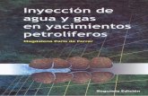 Libro Magdalena Paris de Ferrer Inyección de Agua y Gas en Yacimientos Petroliferos