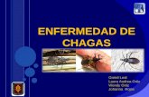 Enfermedad de Chagas FINAL