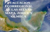 EVALUACION ECORREGIONAL DE LAS SELVAS MAYA, ZOQUE Y OLMECA