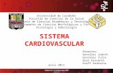 Sistema Cardiovascular - Grupo de teoría B1