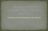 Hidrolisis y ion Del Niquel