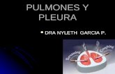 4.) Pulmones, Segmentación Broncopulmonar, Pleura - Prof. Nyleth García
