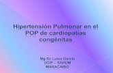 Hipertension Pulmonar lga