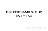 DIRECCIONAMIENTO  IP: IPv4 y IPv6