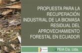 Pmc biomasa