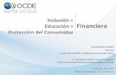 Inclusión+educación+protección del consumidor
