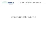Curriculum Fertig PDF