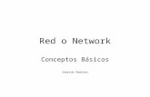 Redes / Network