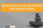 Diagnóstico de la Identidad Organizacional