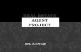 Real Esate Agent Project