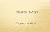Pronoms relatius  - esquema