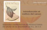 Presentación feria cacao 2014 (1)