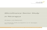 Final report-microfinance-sector-study-nicaragua
