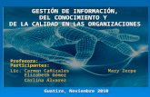 Sistema de información (ecm)