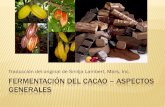 19 Fermentacion Del Cacao[1]