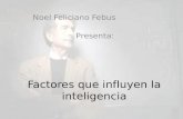 Factores que influyen la inteligencia