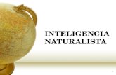 Inteligencia Naturista