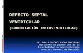 Defecto Septal Ventricular