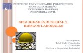 Seguridad industrial y riesgos laborales