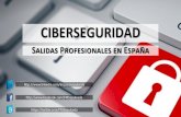 Oportunidades Profesionales de la Ciberseguridad en España