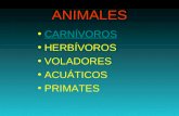 Presentacion tipos de animales.