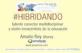 Talento Conector y visión renacentista de la educación (Amalio Rey)