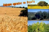 Paisaxes agrarias en España
