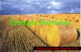 Energía Biomasa