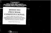 Derecho Procesal Constitucional - Pablo Luis Manili