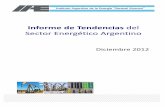 Informe de Tendencias del Sector Energético Argentino. IAE "General Mosconi"
