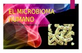 El microbioma humano presentacion