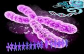 Cromosomas y genes