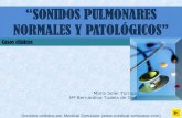 Auscultacion Pulmonar-casos Clinicos