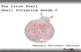 The linux shell. Shell Scripting desde 0