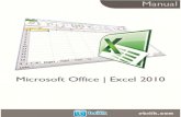 Manual: Microsoft Excel.