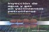 102658553 Inyeccion de Agua y Gas en Yacimientos Petroliferos Magdalena Ferrer