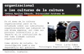 El diagnóstico de “la” cultura organizacional o las culturas de la cultura