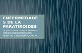 Enfermedades paratiroides unu 2013