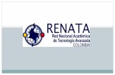 Red Renata 2