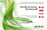 IICA - informe anual 2012