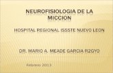 Neurofisiología de la micción.