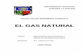 3 El Gas Natural en El Peru Adicional