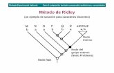 Tema 9 - El Metodo de Ridley