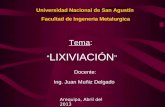 Hidrometalurgia 1 -LIXIVIACION 09-4-13
