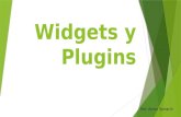 Widgets y plugins