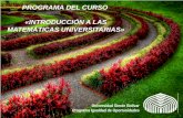 Programa del curso "Introducción a las Matemáticas Universitarias"