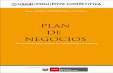USAID Perú - plan de negocios