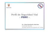 Perfil de seguridad vial Perú